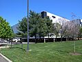 ORICA rug HQ jeh