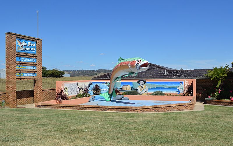 Oberon Big Trout 001