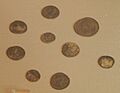 Otterbourne Hoard II coins