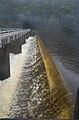 Paluma dam A