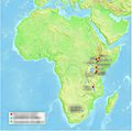 Paranthropus Africa