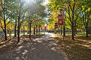Pathway on the University of Illinois at Chicago campus