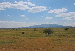 Prairie Near Empire Ranch House Cienega Valley Arizona 2014.jpeg