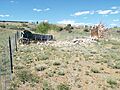 Prescott Valley-Lynx Creek District-Fain Park- Bull Whacker Stage Stop-1890-1