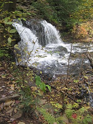 Ricketts Glen State Park Mohawk Falls 2