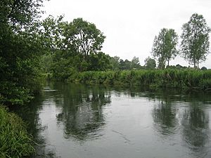 River Avon near Fordingbridge