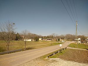 Road in Riverside, Alabama