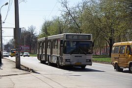 Samara bus GOLAZ (15343224502)