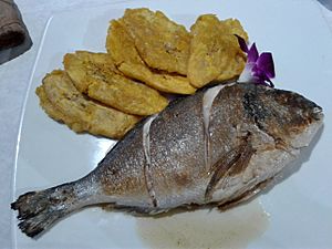 Seafood at Marisqueria Jibara Restaurant, San Sebastian, Puerto Rico