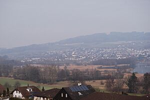 Seengen vidita de la vilagheniro de Boniswil 234