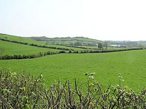Shannahergoa Townland - geograph.org.uk - 168118