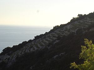 South coast of Korčula