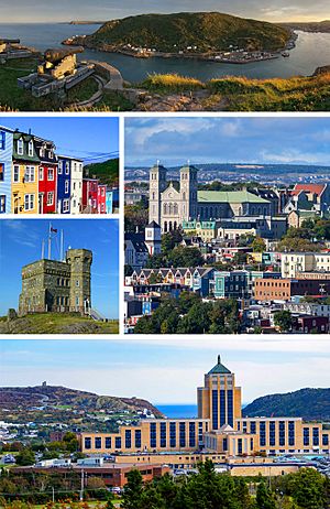 St John's Newfoundland Collage.jpg