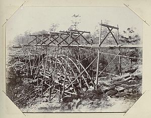 StateLibQld 2 255942 Looking down on the scaffolding during construction of Deep Creek railway bridge, Gayndah district, 1905
