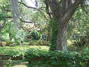 Tallahassee FL Roberts Farm HD01