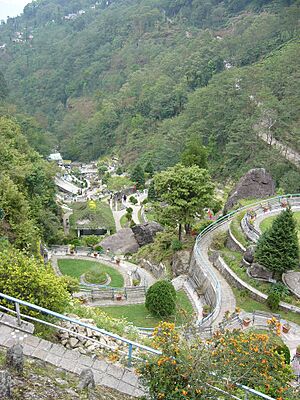 Terraced gardens in Rock Garden, Darjeeling, India
