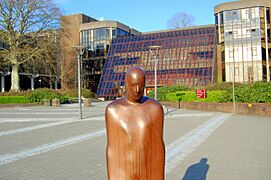 UniversityOfLimerick AntonyGormley