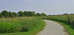 Walking Trail at the Battle of Island Mound State Historic Site