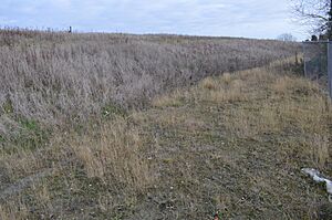 Warboys Clay Pit 3