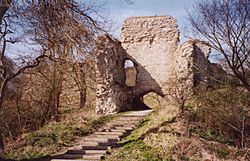 Wigmore Castle Ruins.jpg