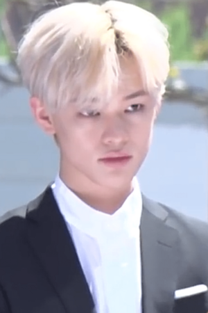 Zhong Chenle during the opening ceremony of the C Festival 2019 01