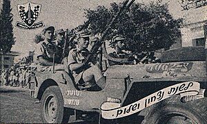 דוד סגל נוהג עם אלברט מנדלר במצעד גבעתי ברחובות בספטמבר 1948