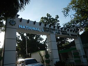 05732jfNational Center for Mental Health Mauway Pleasant Hills Mandaluyong Cityfvf 12