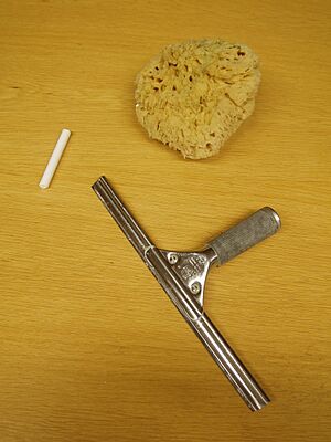 2005 squeegee sponge chalk