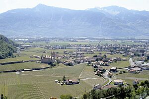 2010-05 aigle chateau vignes vu depuis fontaney