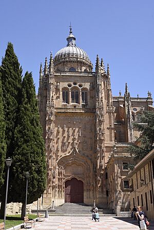23 Catedral Nueva, Salamanca