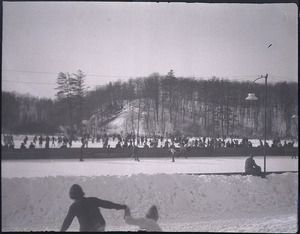 A hockey game in High Park, Toronto (I0001335)