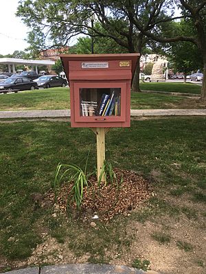 Albany's Dana Park Little Free Library Book Box