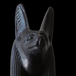 Anubis face