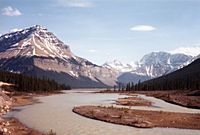 Athabasca river 2001