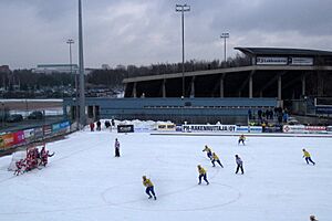 Bandyliiga Final Oulu 20140315 04