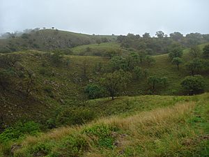 Barranca de Huentitán