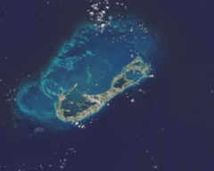 Bermuda oli 2014275 lrg-cropped