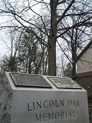 Bloomington Il Lincoln Oak Memorial2