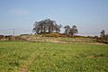 Bothamsall motte - geograph.org.uk - 415730
