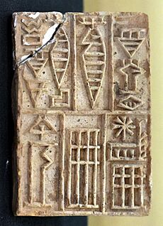 Brick Stamp of Shar-Kali-Sharri, 2217-2193 BCE, from Iraq. Iraq Museum (Vertical, mirrored)