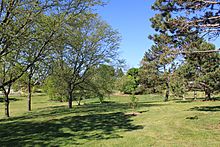 Buhr Park Wooded Area.JPG