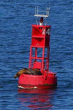 Buoy seal