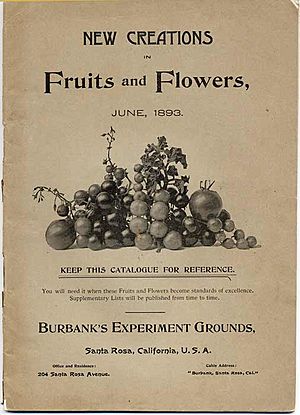 Burbank FruitFlower c1893