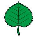 CHE Schupfart Flag