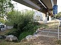 Cerrito Creek at Ohlone Greenway