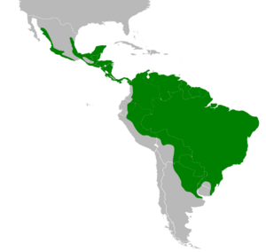 Columbina talpacoti map.svg