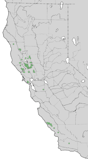 Cupressus sargentii range map 4.png