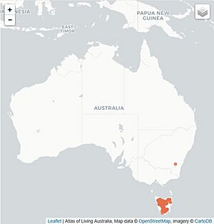 Distribution of Rubus gunnianus