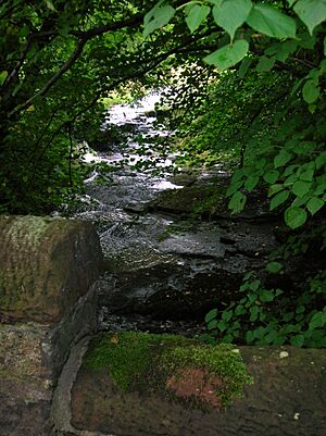 Dusk Water at Hessilhead Farm Town