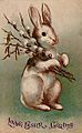Easter Bunny Postcard 1907